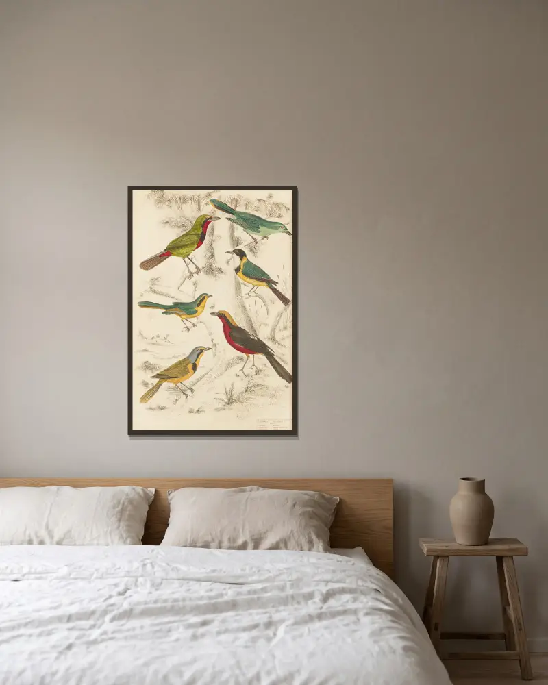 Trastgrå törnskata von William MacGillivray gerahmt an einer Wand