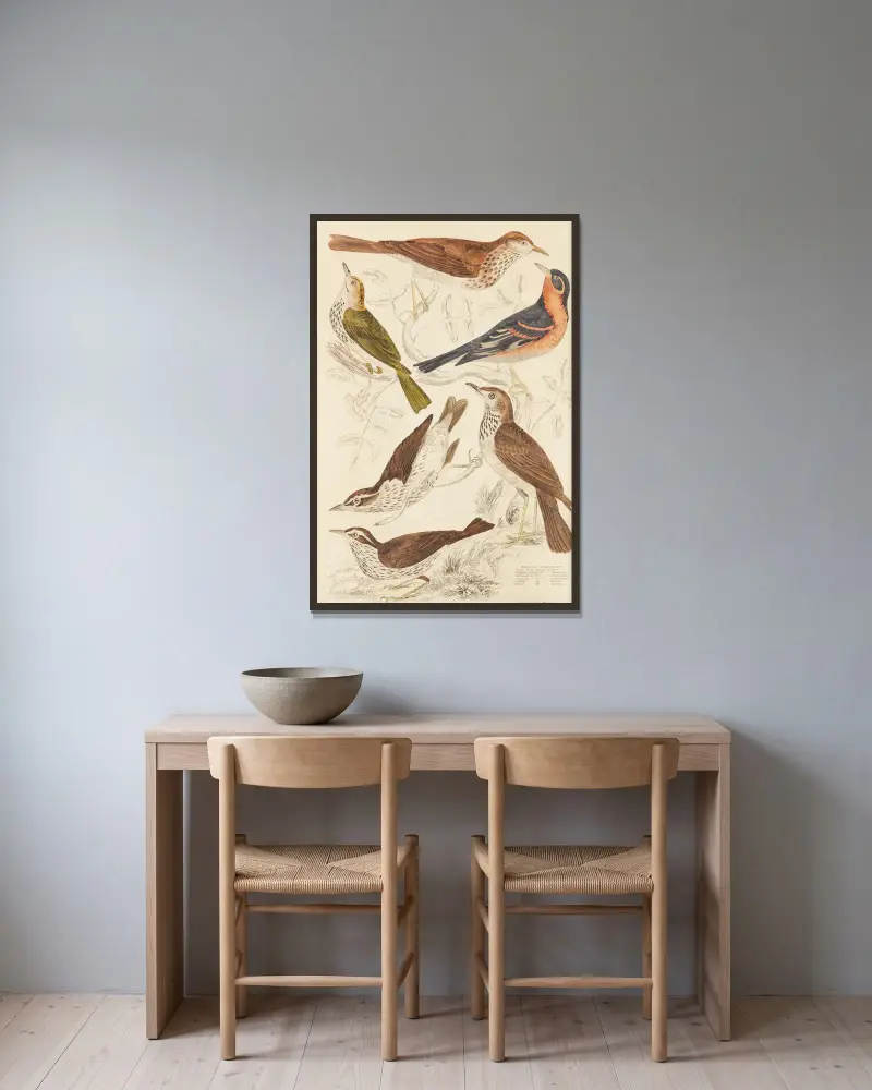Drosseln von William MacGillivray gerahmt an einer Wand