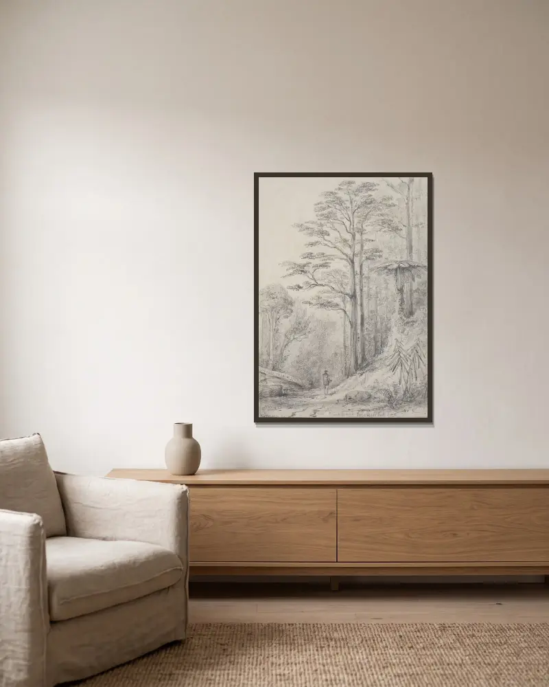 Schwarzer Birkenwald, Upper Hutt von William Swainson gerahmt an einer Wand