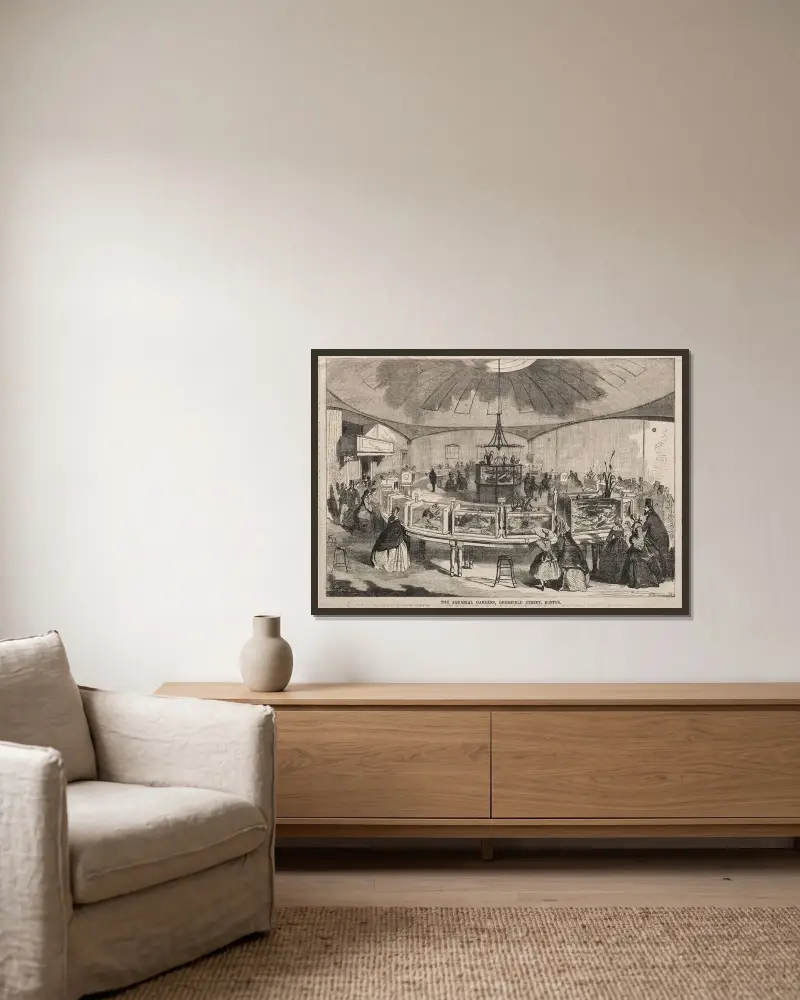 Akvarieträdgårdarna på Bromfield Street, Boston av Winslow Homer inramad på en vägg