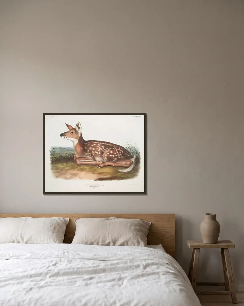 Cervus Virginianus, vanlig amerikansk hjort. (Kid. Naturlig storlek.) av John Woodhouse Audubon inramad på en vägg