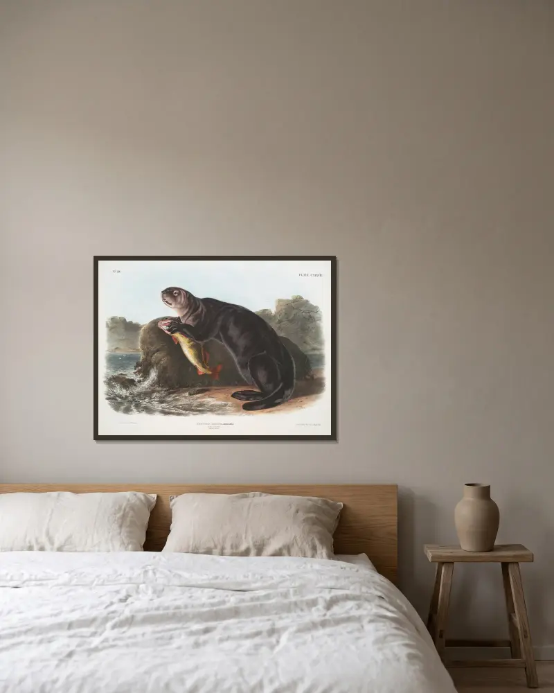 Wydra morska, młody samiec, John Woodhouse Audubon w ramie na ścianie