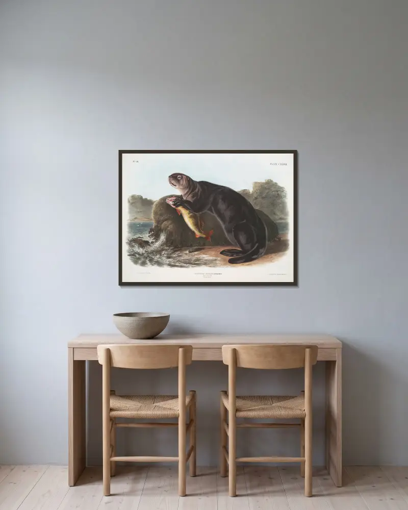 Wydra morska, młody samiec, John Woodhouse Audubon w ramie na ścianie