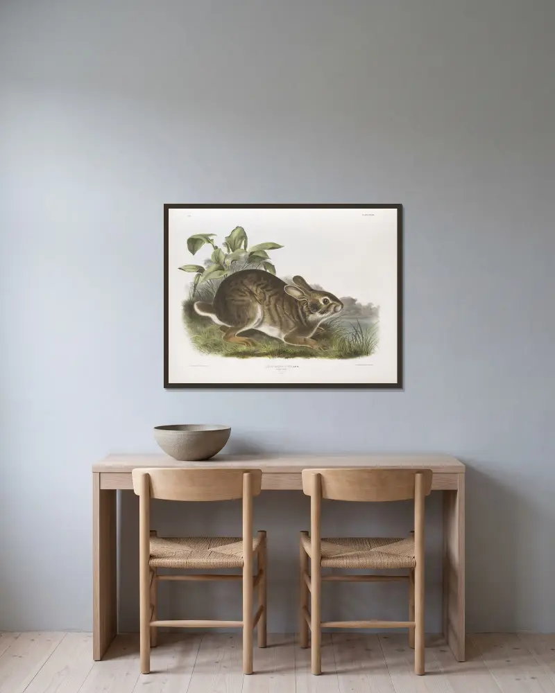 Träskhare av John Woodhouse Audubon inramad på en vägg