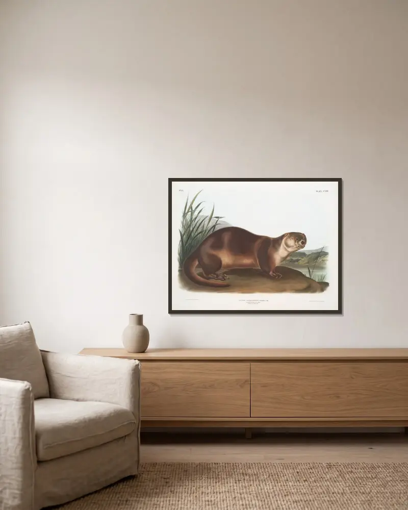 Lutra Canadensis, kanadensisk utter. Hane. av John Woodhouse Audubon inramad på en vägg