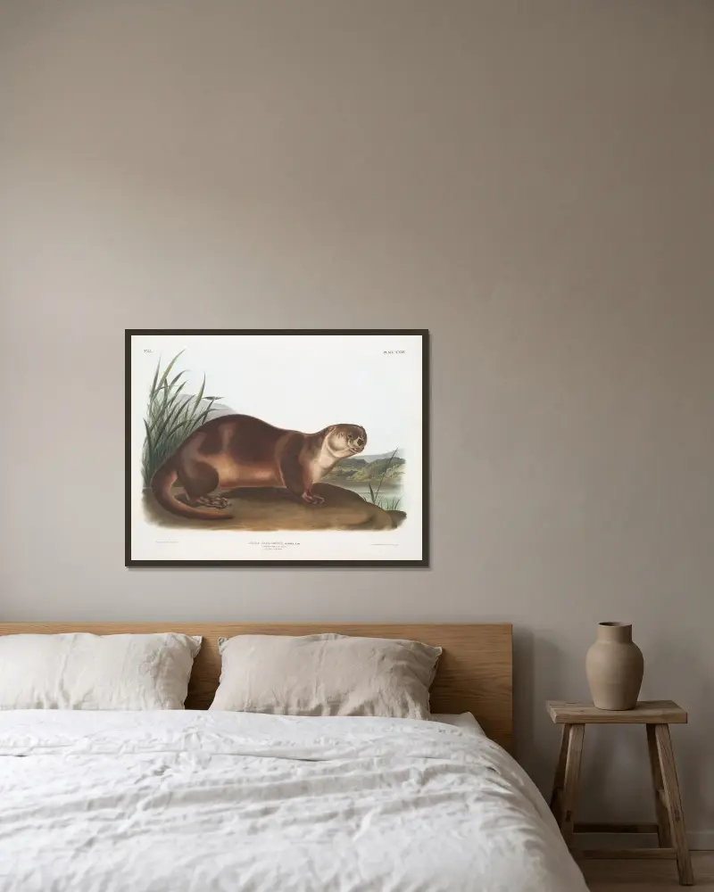 Lutra Canadensis, kanadensisk utter. Hane. av John Woodhouse Audubon inramad på en vägg