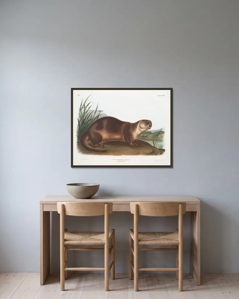 Lutra Canadensis, kanadensisk utter. Hane. av John Woodhouse Audubon inramad på en vägg