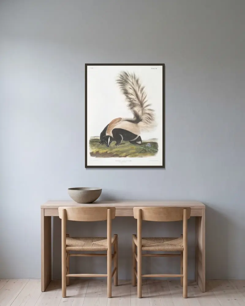 Stor svansskunk, hane, i naturlig storlek av John Woodhouse Audubon inramad på en vägg