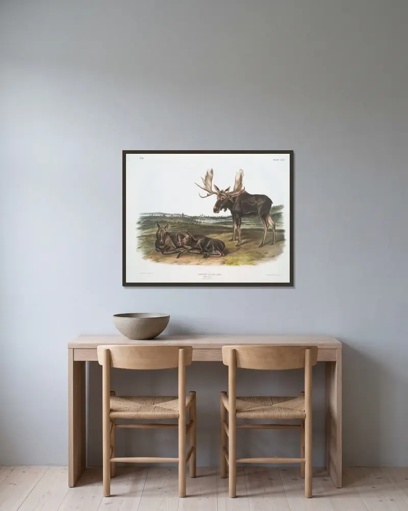 Älg, gammal hane och ungdjur av John Woodhouse Audubon inramad på en vägg