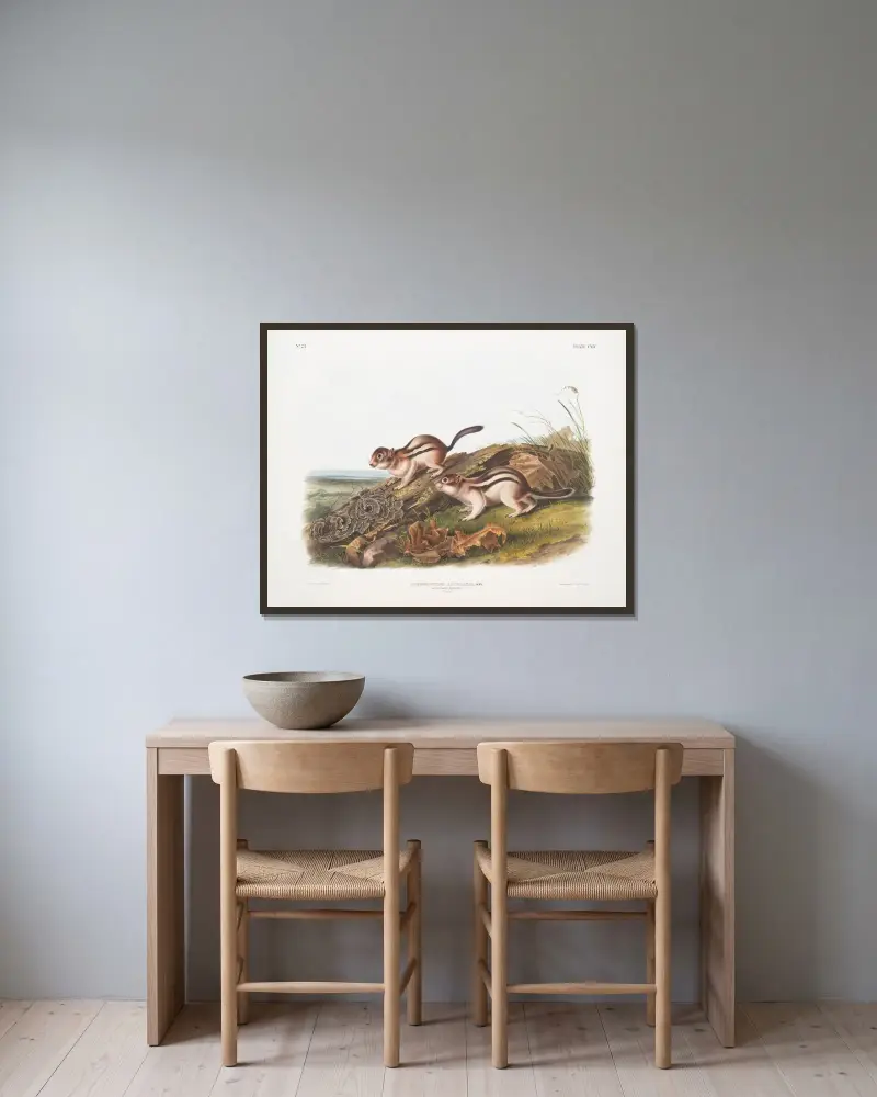 Spermophilus lateralis, Says Murmeltierhörnchen. In natürlicher Größe. von John Woodhouse Audubon gerahmt an einer Wand