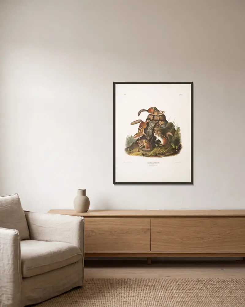 Tamias Lysterii, Streifenhörnchen, Hackee u. a. Natürliche Größe. Männchen, Weibchen und Jungtier, erster Herbst von John Woodhouse Audubon gerahmt an einer Wand