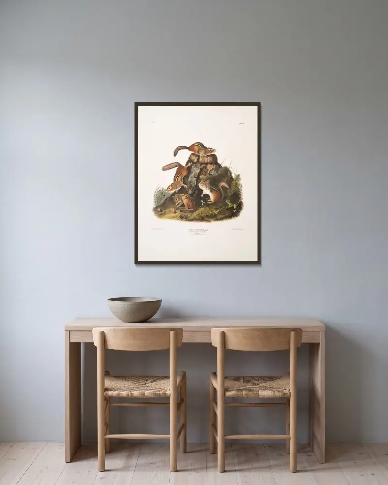 Tamias Lysterii, Streifenhörnchen, Hackee u. a. Natürliche Größe. Männchen, Weibchen und Jungtier, erster Herbst von John Woodhouse Audubon gerahmt an einer Wand