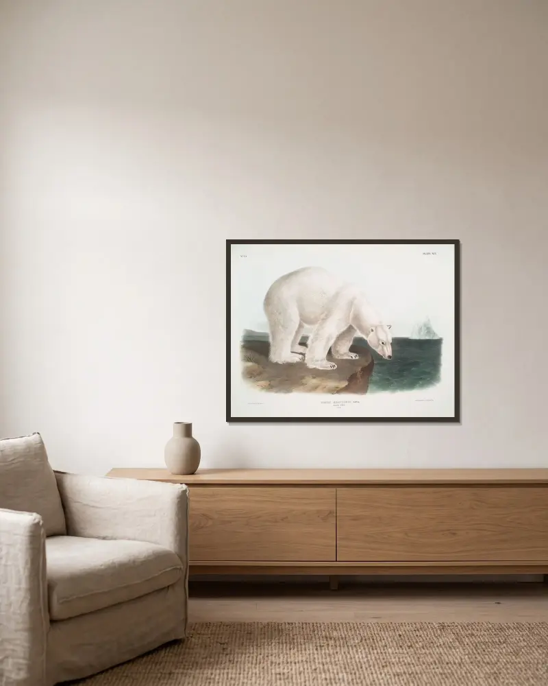 Ursus maritimus, Eisbär. (Männchen.) von John Woodhouse Audubon gerahmt an einer Wand