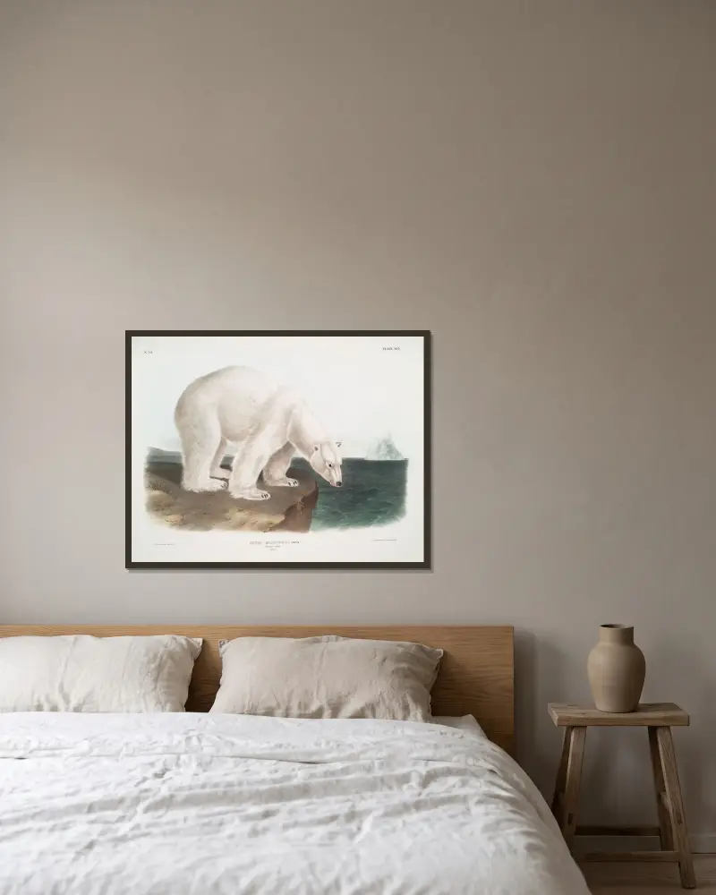 Ursus maritimus, Eisbär. (Männchen.) von John Woodhouse Audubon gerahmt an einer Wand