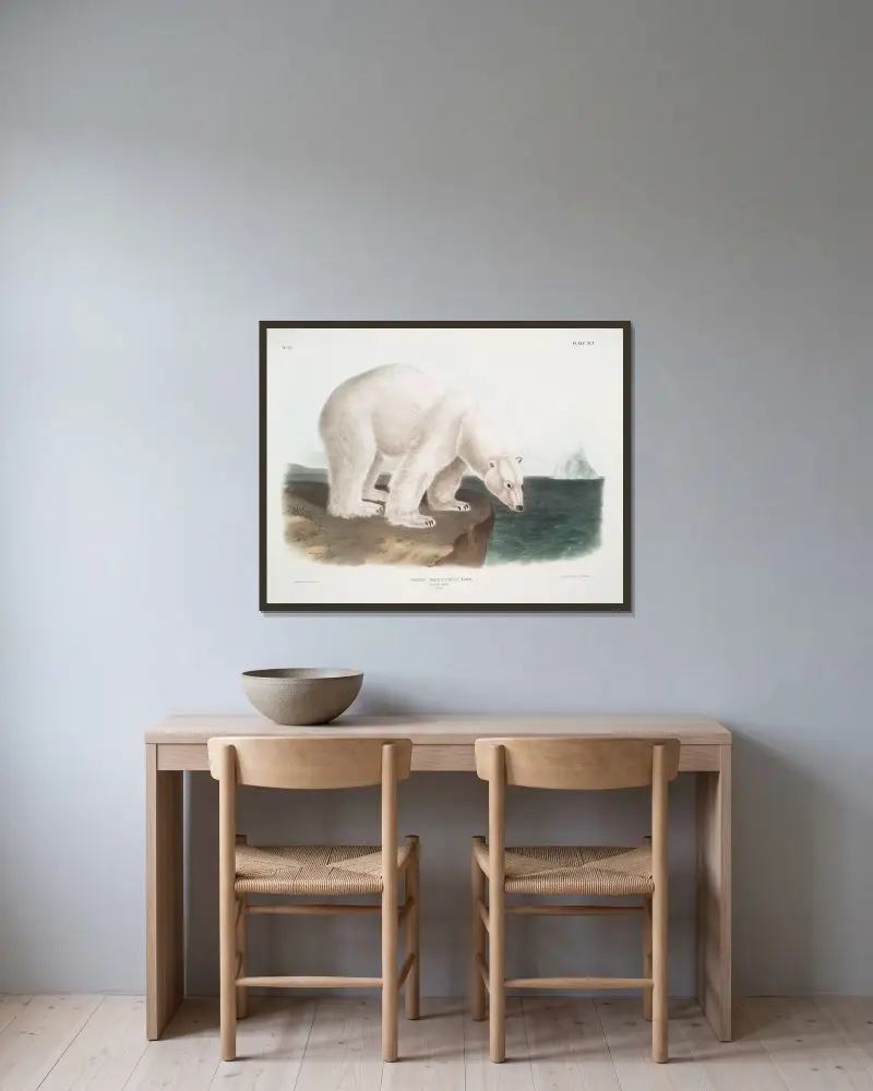 Ursus maritimus, Eisbär. (Männchen.) von John Woodhouse Audubon gerahmt an einer Wand