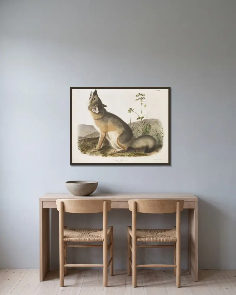 Vulpes velox, Swift Fox. Natural size. Male. von John Woodhouse Audubon gerahmt an einer Wand