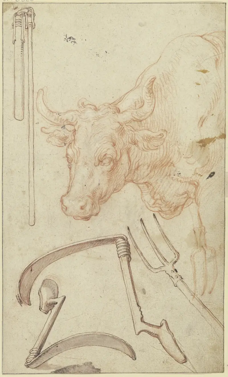 Studienblatt; Landwirtschaftliche Geräte und ein Stierkopf av Abraham Bloemaert
