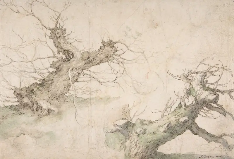 Studier av två pilträd av Abraham Bloemaert