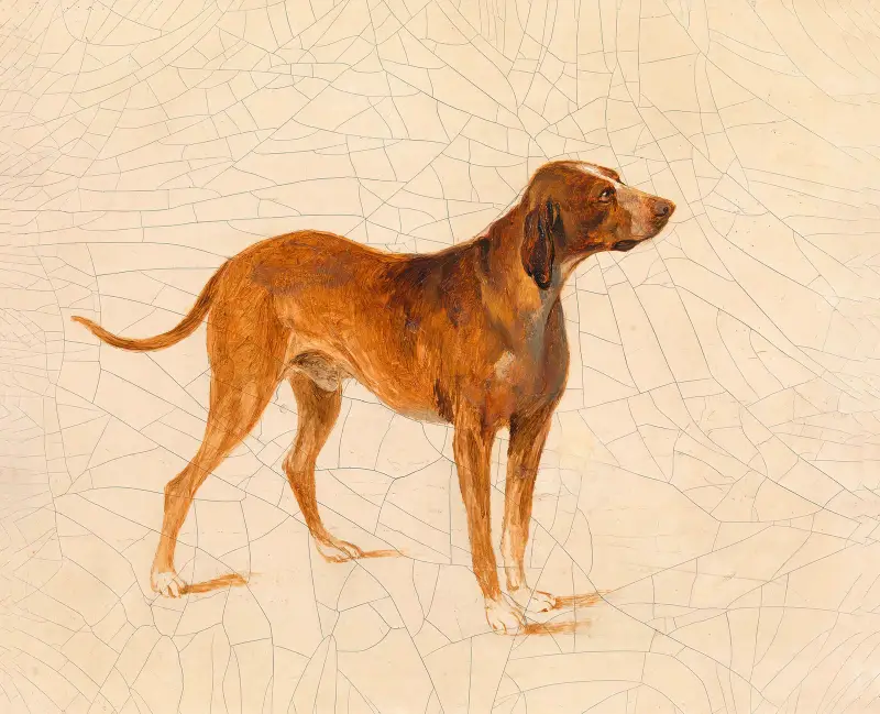 Jagdhund von Adalbert Stifter