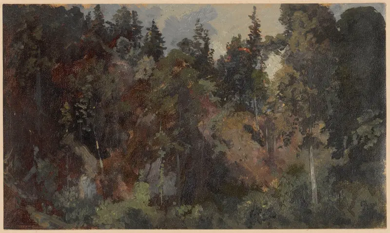 Skog som växer på en bergssluttning av Adolf Dressler