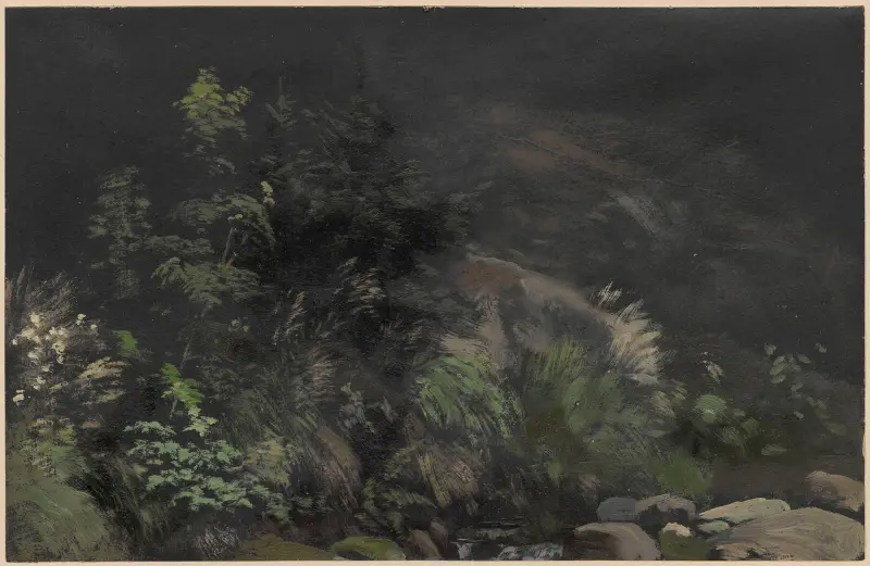 Plants on rocks av Adolf Dressler
