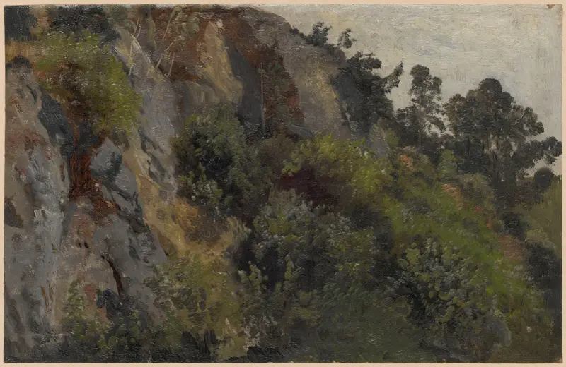 Rocky slope overgrown with plants av Adolf Dressler