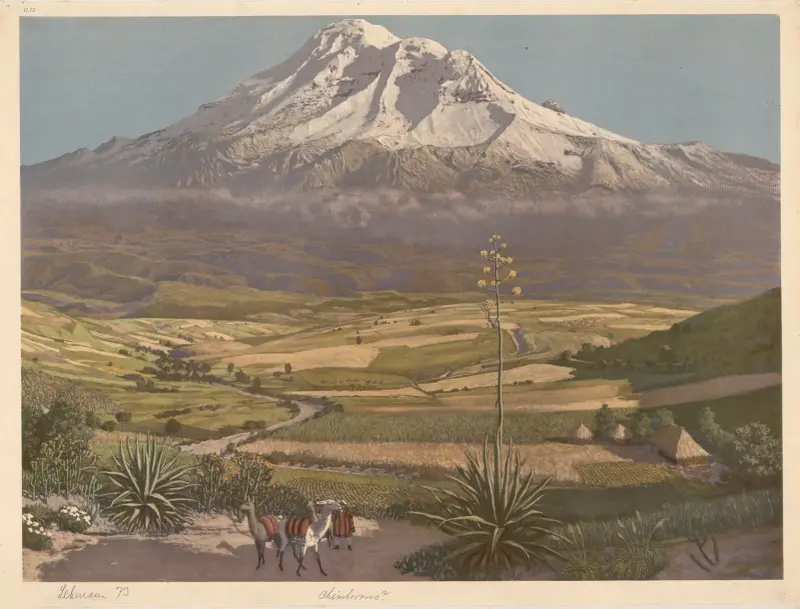 Chimborosso von Adolf Lehmann