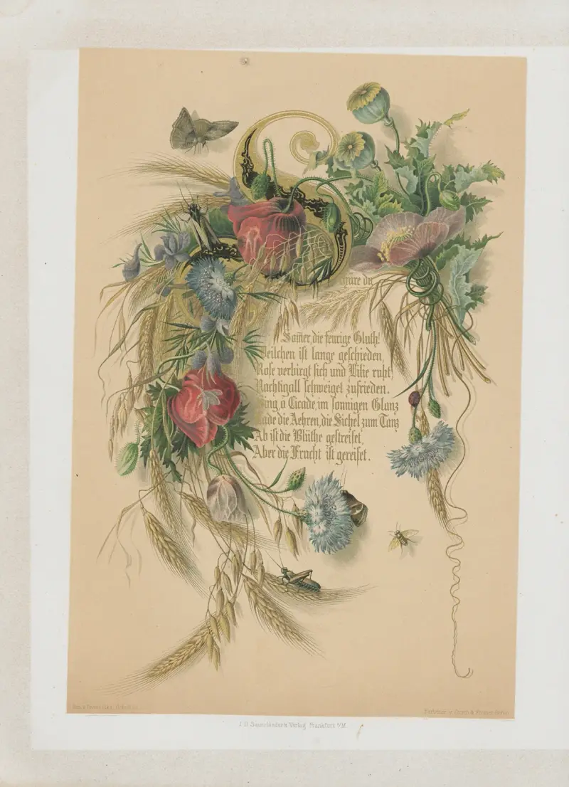 Friedrich Rückerts Liebesfrühling (Kärlekens vår) pl. 5 av Adolf Schrödter