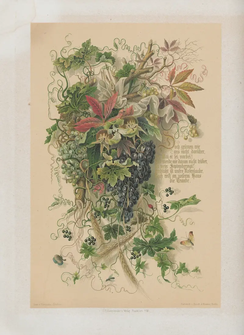 Friedrich Rückert’s Liebesfrühling Pl.6 av Adolf Schrödter