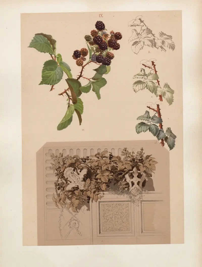Studien zur Aquarell-Malerei Pl.08 av Adolf Schrödter