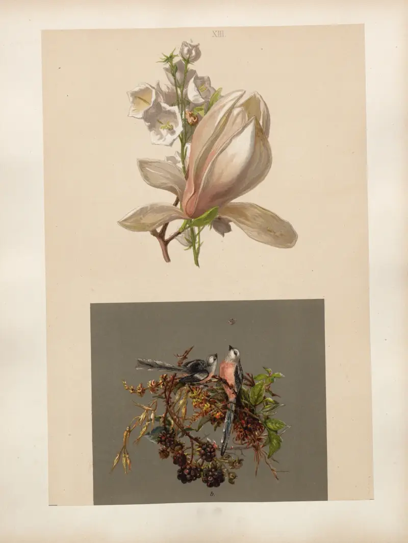 Studien zur Aquarell-Malerei Pl.12 av Adolf Schrödter