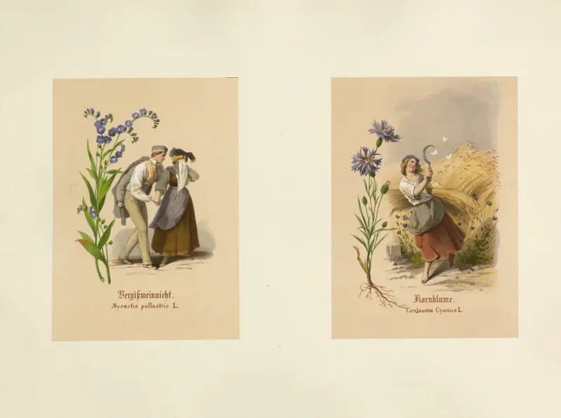 Studien zur Aquarell-Malerei Pl.15 av Adolf Schrödter