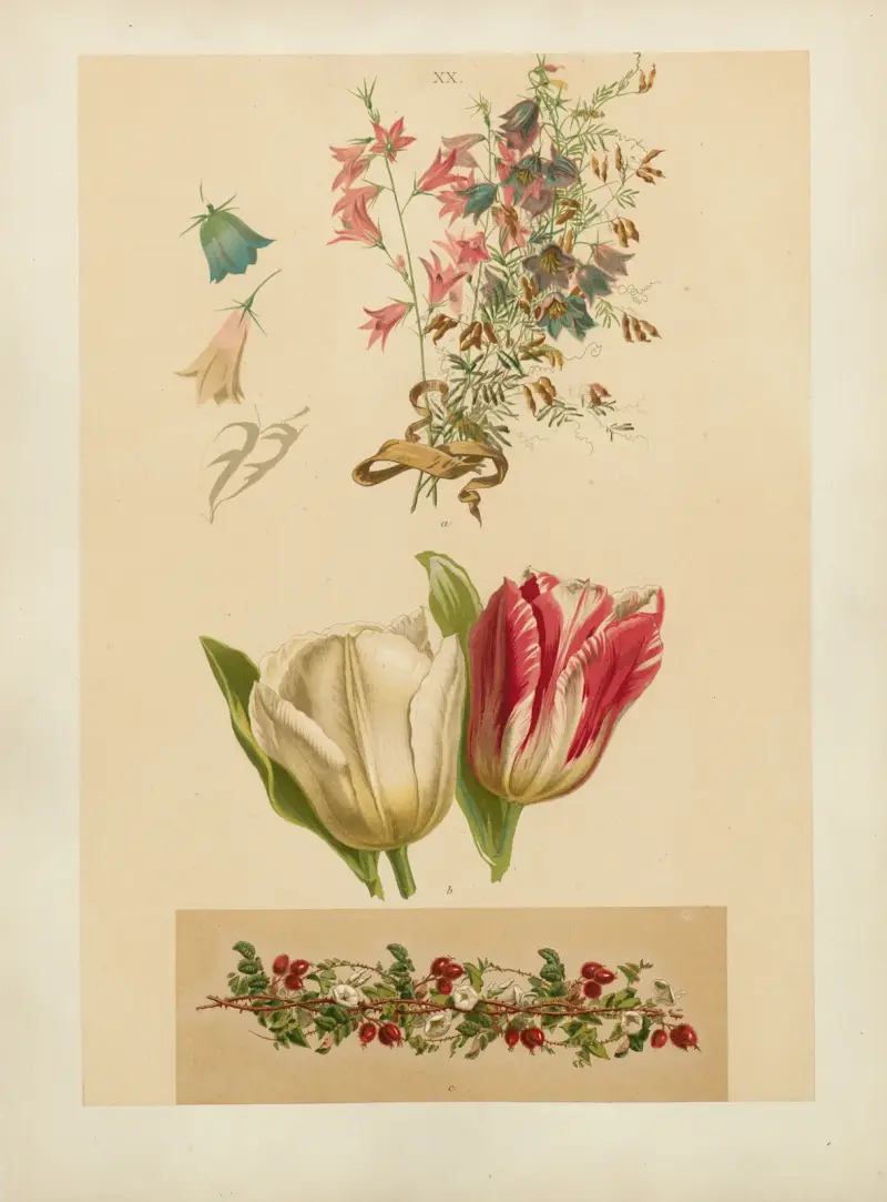 Studien zur Aquarell-Malerei Pl. 19 von Adolf Schrödter