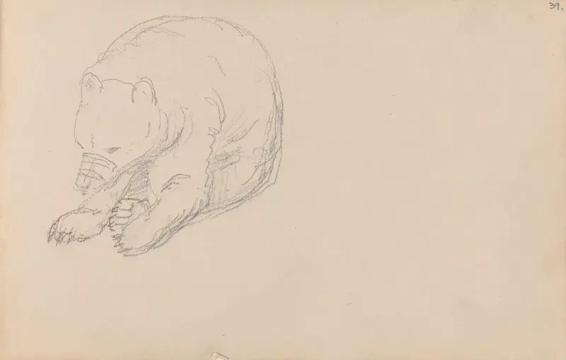 Bär von Adolph Tidemand