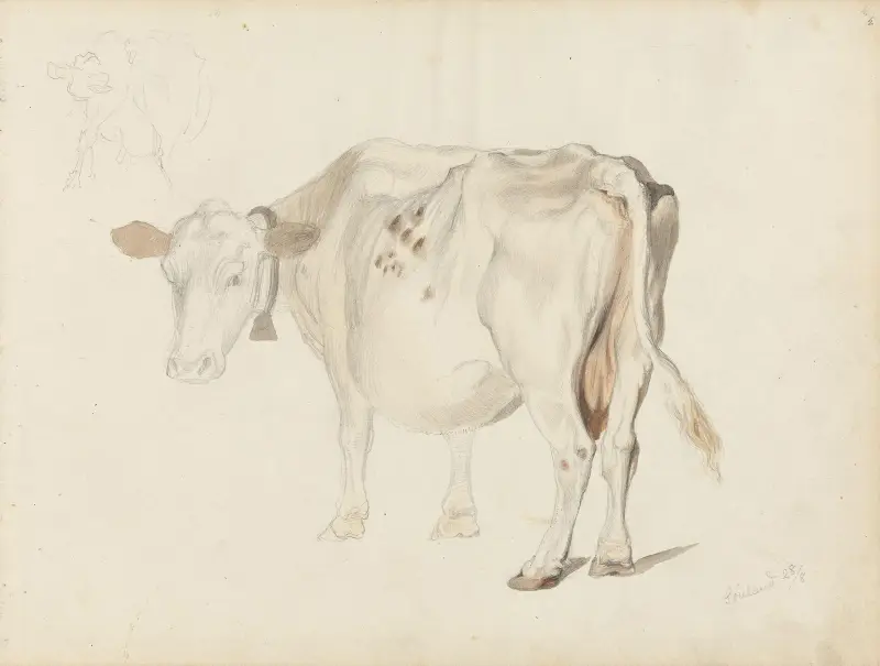 Bjelleku, Sauland av Adolph Tidemand