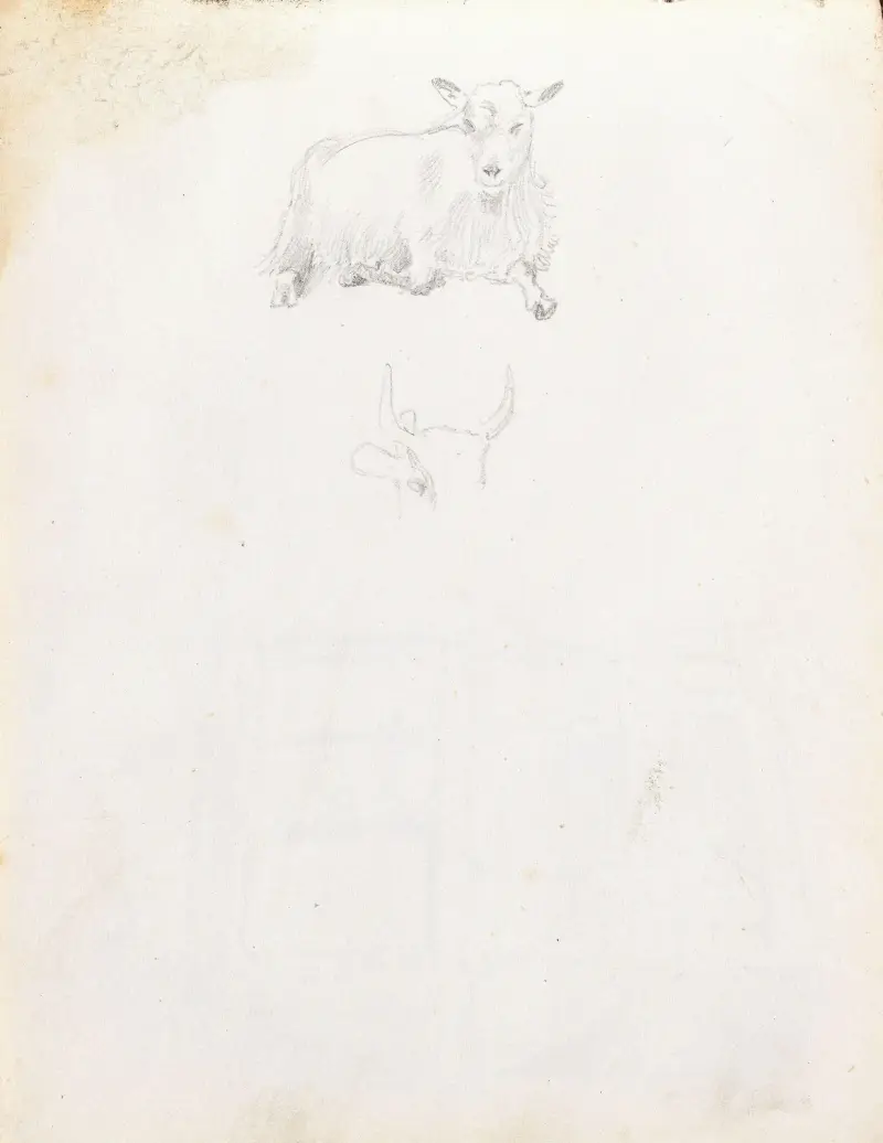 Dyrestudier av Adolph Tidemand