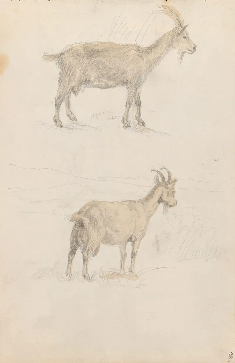 Geiter av Adolph Tidemand