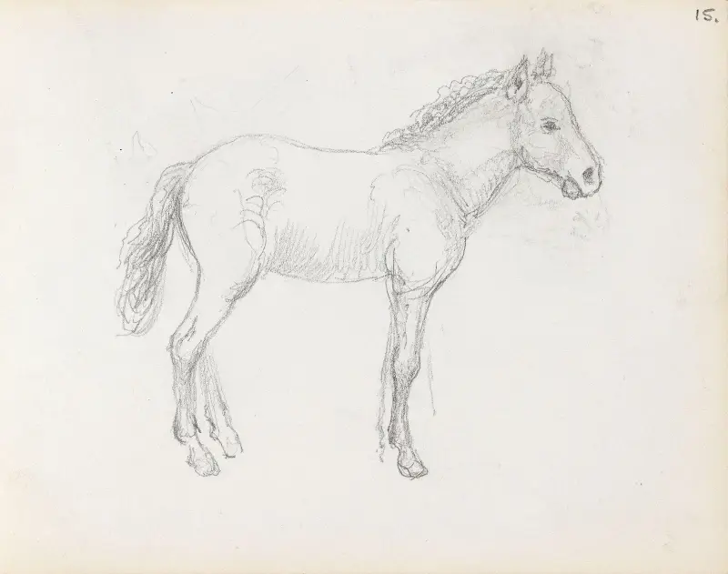 Pferdestudie von Adolph Tidemand