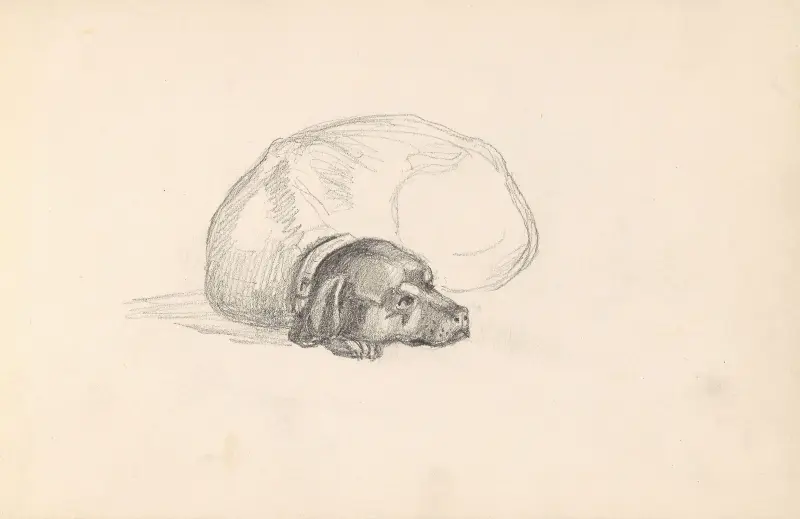 Liegender Hund von Adolph Tidemand