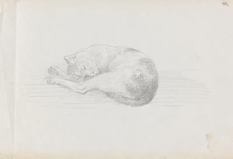 Sleeping cat, Adolph Tidemand