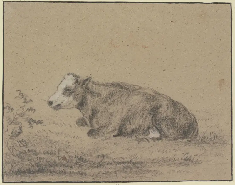 Lying cow to the left av Aelbert Cuyp