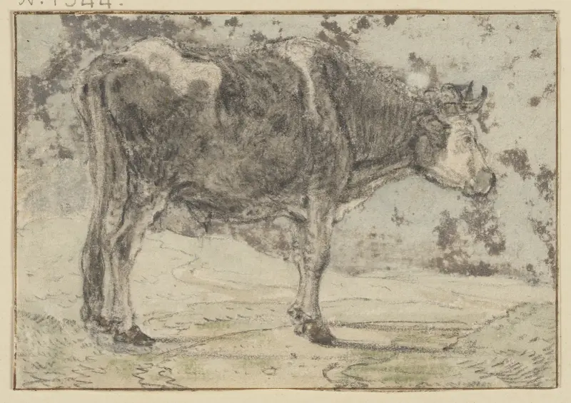 Nach rechts stehender Ochse, schwarz und weiß gefleckt von Aelbert Cuyp