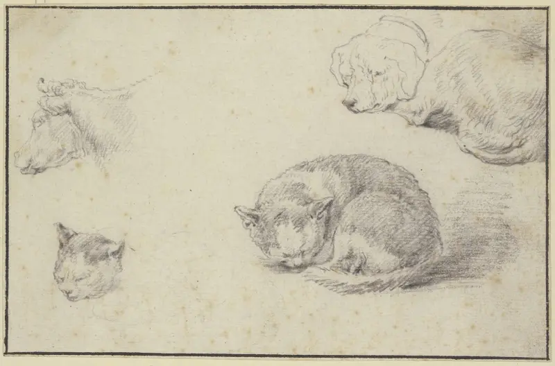 Schlafende Katze und Hund, ein Kuhkopf und ein Katzenkopf av Aelbert Cuyp