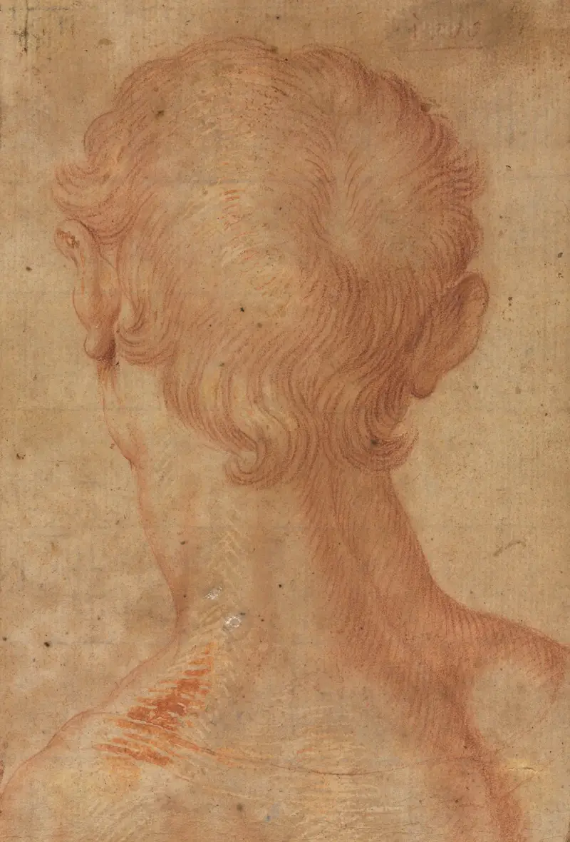 Männerkopf von hinten von Agnolo Bronzino