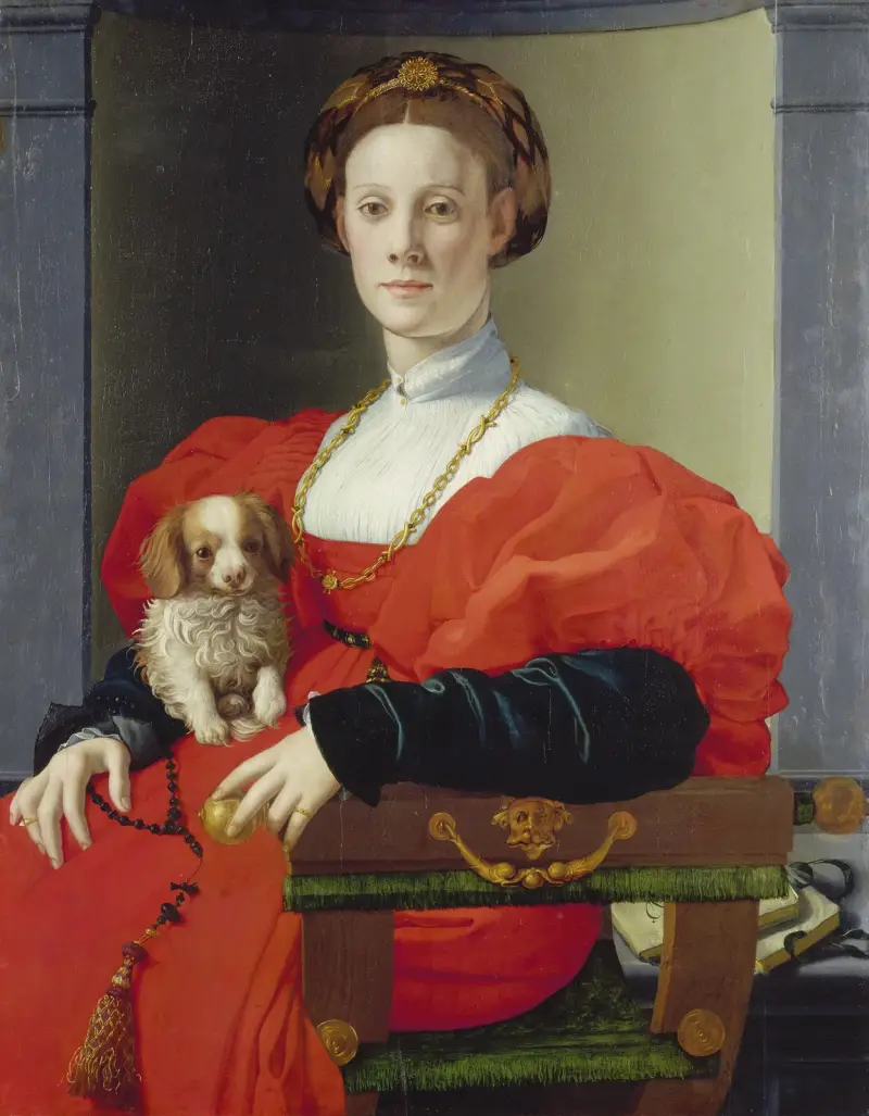 Portrait of a Lady in Red (Francesca Salviati) av Agnolo Bronzino