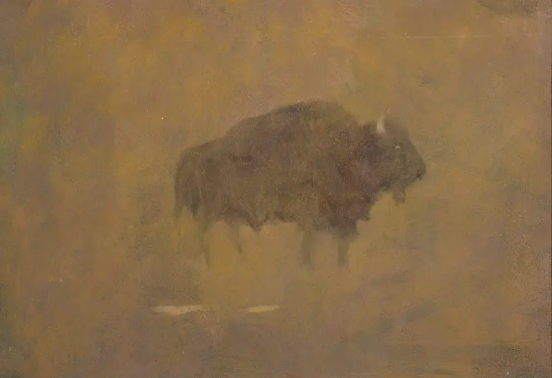 Bisonoxar i sandstorm av Albert Bierstadt