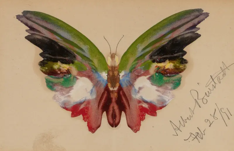 Butterfly av Albert Bierstadt