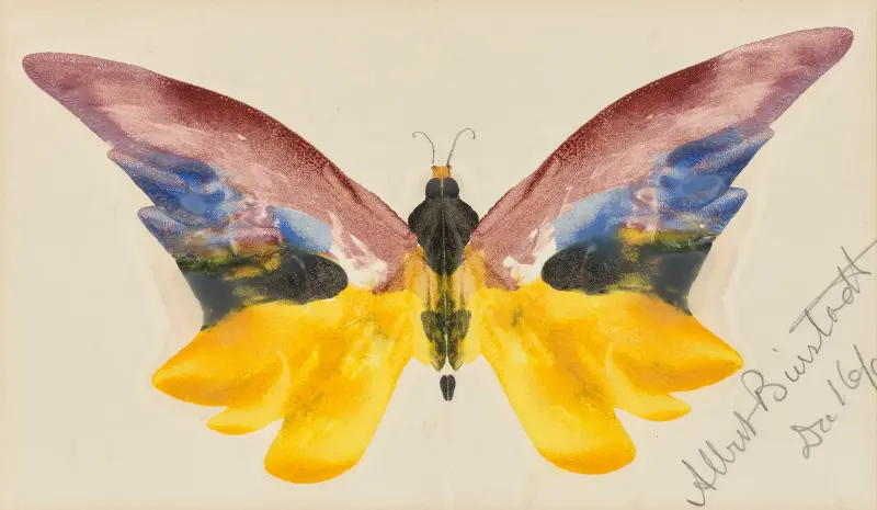 Butterfly av Albert Bierstadt