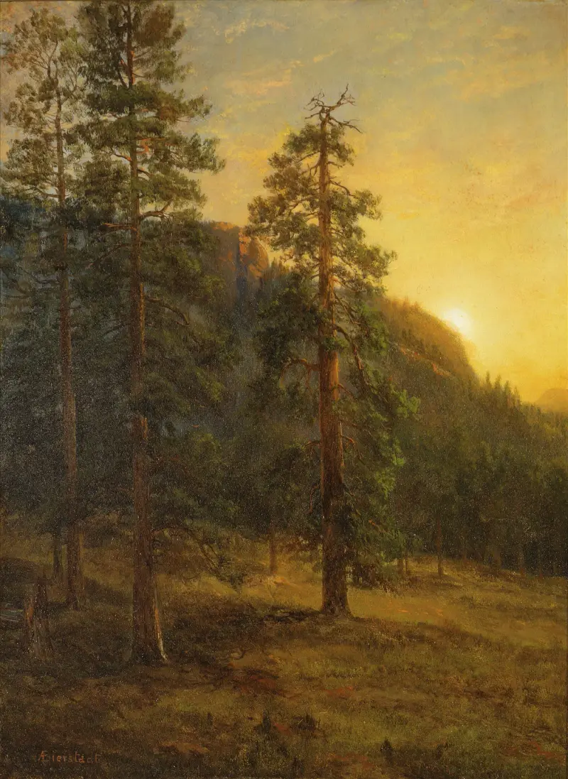 Kalifornische Redwoodbäume von Albert Bierstadt