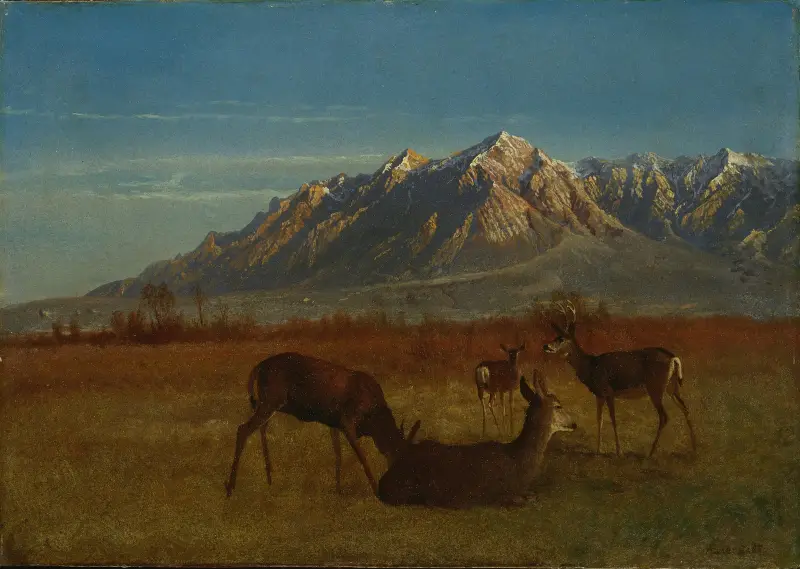 Hjort i bergshem av Albert Bierstadt